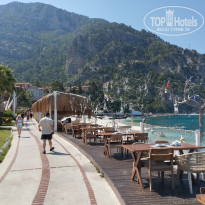 фото из отзыва ID 2704936