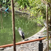 фото из отзыва ID 2704955