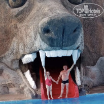 фото из отзыва ID 2704960