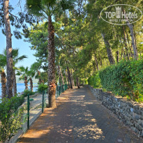 фото из отзыва ID 2704958