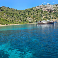 фото из отзыва ID 2704958