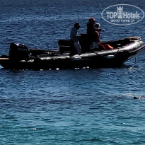 фото из отзыва ID 2704970