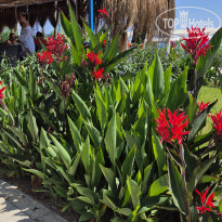 фото из отзыва ID 2704985