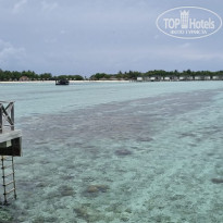 фото из отзыва ID 2704993