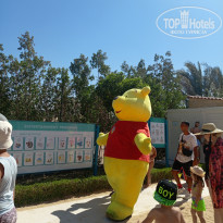 фото из отзыва ID 2705002