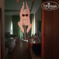 фото из отзыва ID 2705002