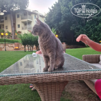 фото из отзыва ID 2705005