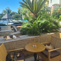 фото из отзыва ID 2705005