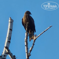 фото из отзыва ID 2705025