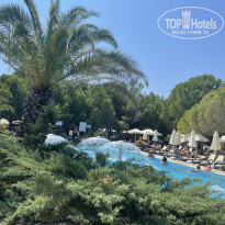 фото из отзыва ID 2705035