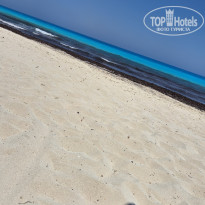 фото из отзыва ID 2705112