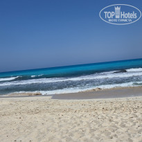 фото из отзыва ID 2705112