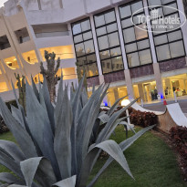 фото из отзыва ID 2705112