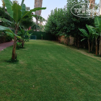 фото из отзыва ID 2705110