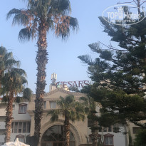 фото из отзыва ID 2705113