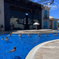 фото из отзыва ID 2705115