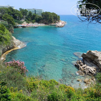 фото из отзыва ID 2705126