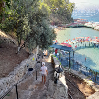 фото из отзыва ID 2705126