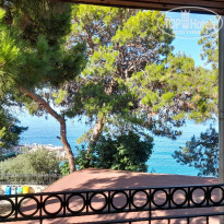 фото из отзыва ID 2705126