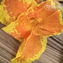 фото из отзыва ID 2705139