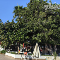 фото из отзыва ID 2705139