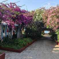 фото из отзыва ID 2705139