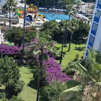 фото из отзыва ID 2705139