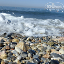 фото из отзыва ID 2705139