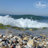 фото из отзыва ID 2705139