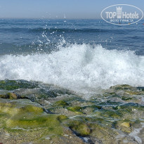 фото из отзыва ID 2705139