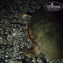 фото из отзыва ID 2705139