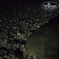 фото из отзыва ID 2705139