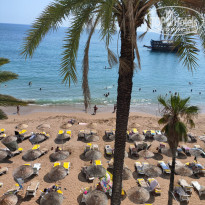 фото из отзыва ID 2705148