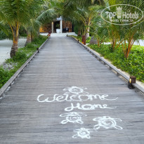 фото из отзыва ID 2705160