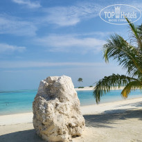 фото из отзыва ID 2705160