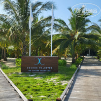 фото из отзыва ID 2705160