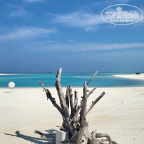 фото из отзыва ID 2705160