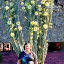 фото из отзыва ID 2705174