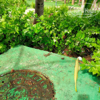 фото из отзыва ID 2705174