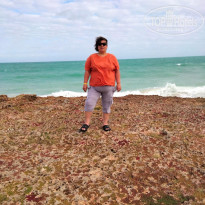 фото из отзыва ID 2705174