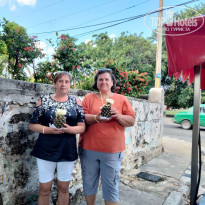 фото из отзыва ID 2705174