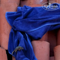 фото из отзыва ID 2705174