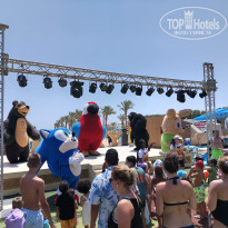 фото из отзыва ID 2704994