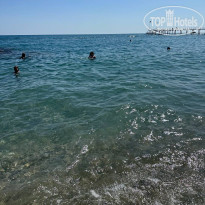 фото из отзыва ID 2705214