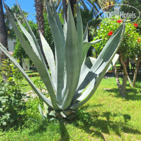фото из отзыва ID 2705222