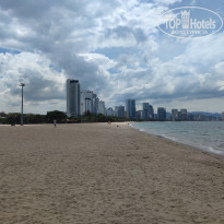 фото из отзыва ID 2705226