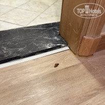 фото из отзыва ID 2705235