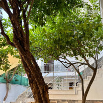 фото из отзыва ID 2705261