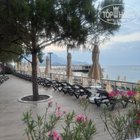 фото из отзыва ID 2705277