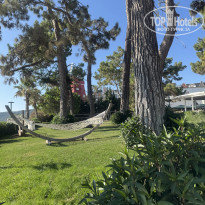 фото из отзыва ID 2705277